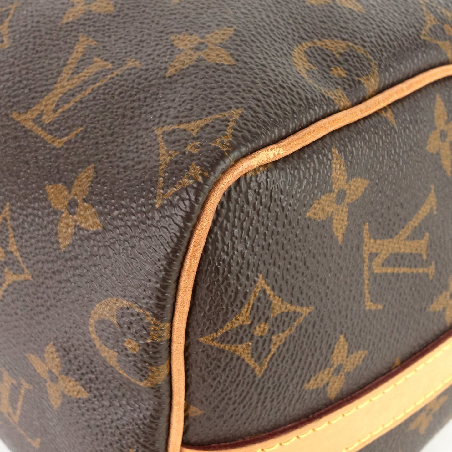 Louis Vuitto Speedy BandouliÃ¨re 25 Monogram Canvas Bag