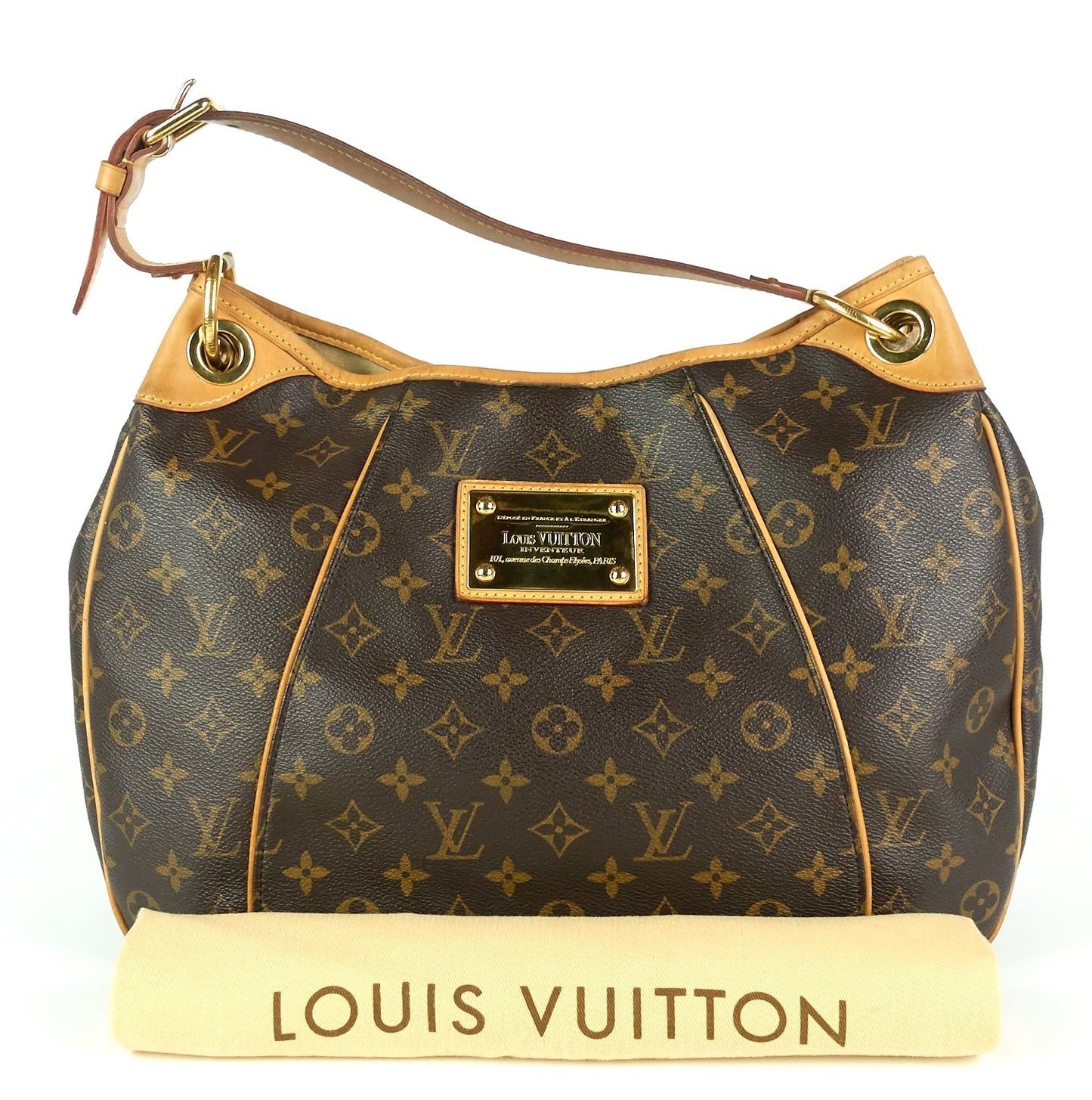 Louis Vuitto Galliera PM Monogram Canvas Bag