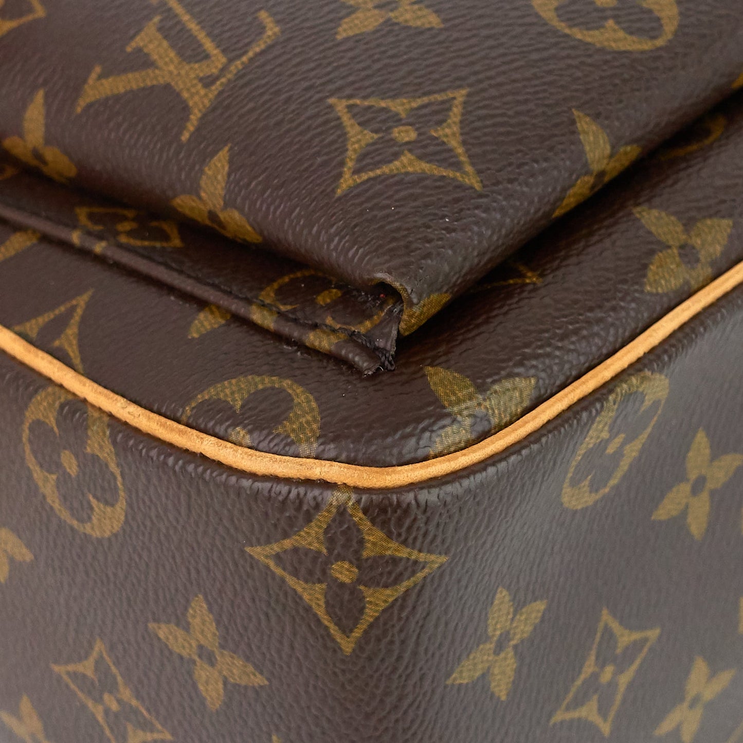 Louis Vuitto Viva Cite GM Monogram Canvas Bag