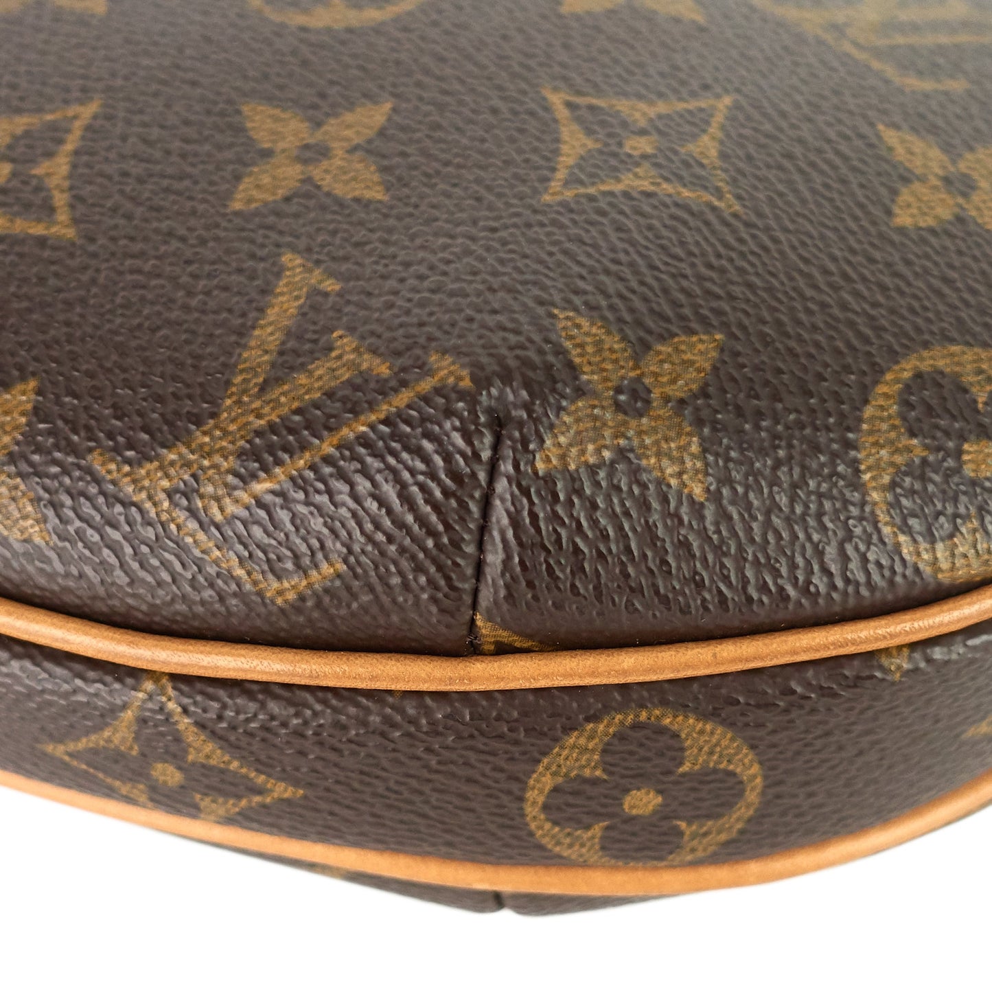 Louis Vuitto Croissant PM Monogram Canvas Bag