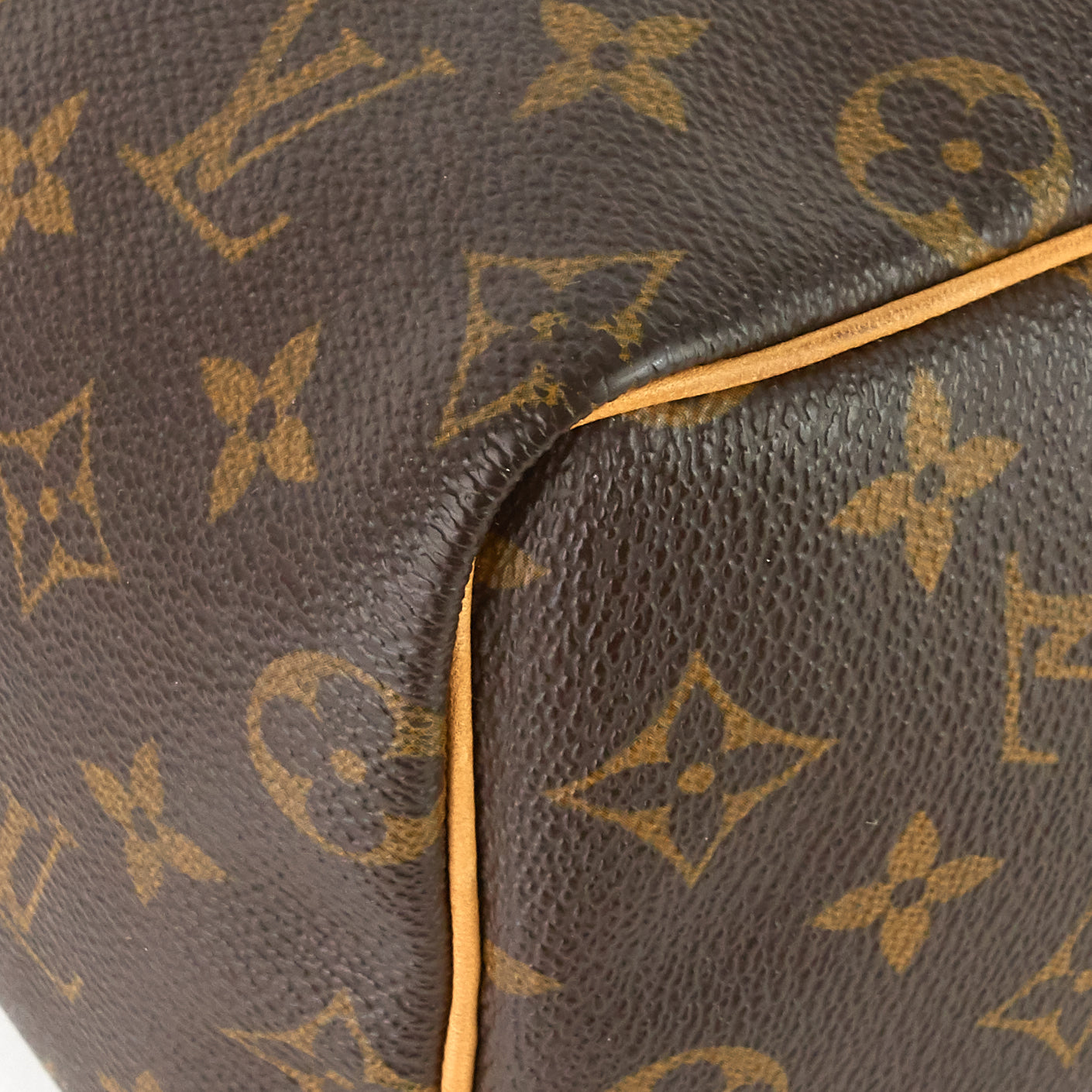 Louis Vuitto Speedy 25 Monogram Canvas Bag