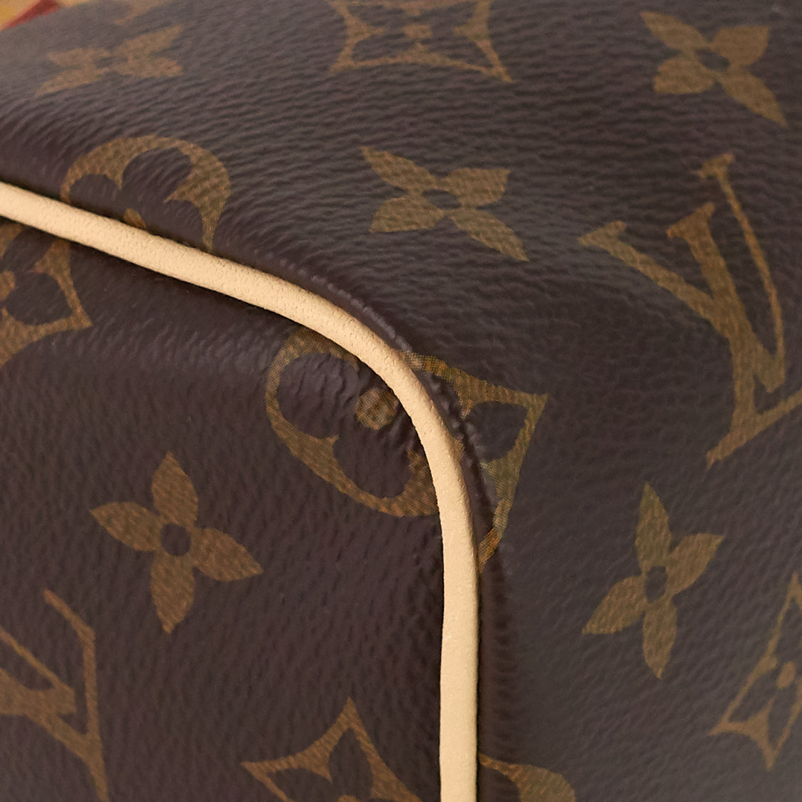 Louis Vuitto Speedy Nano Monogram Canvas Bag