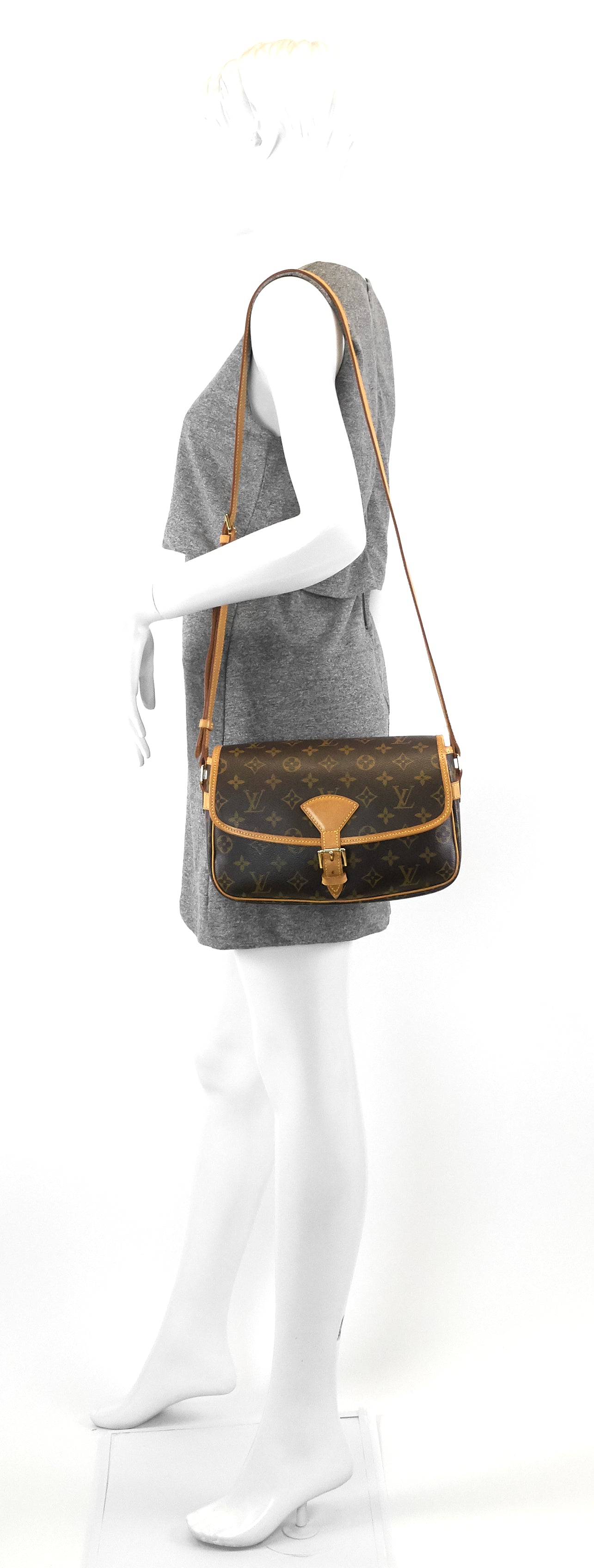 Louis Vuitto Sologne Monogram Canvas Bag
