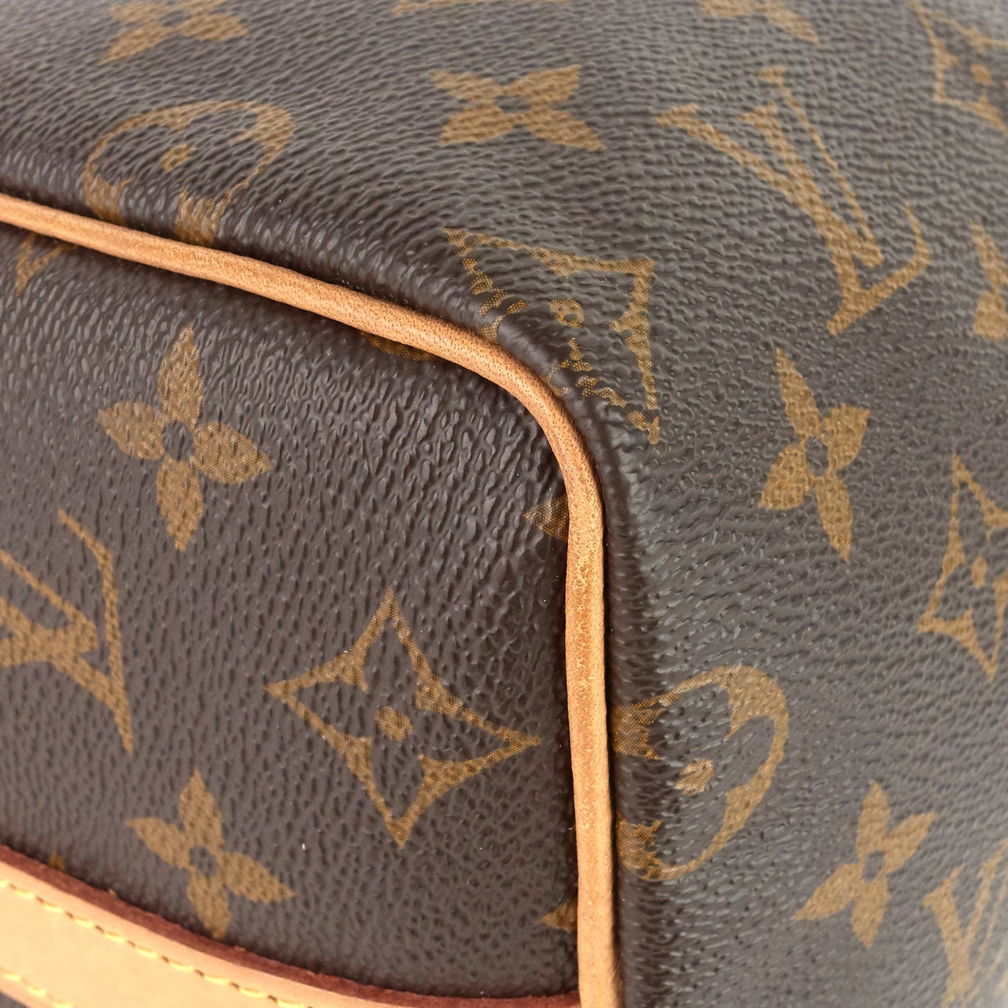 Louis Vuitto Speedy BandouliÃ¨re 25 Monogram Canvas Bag