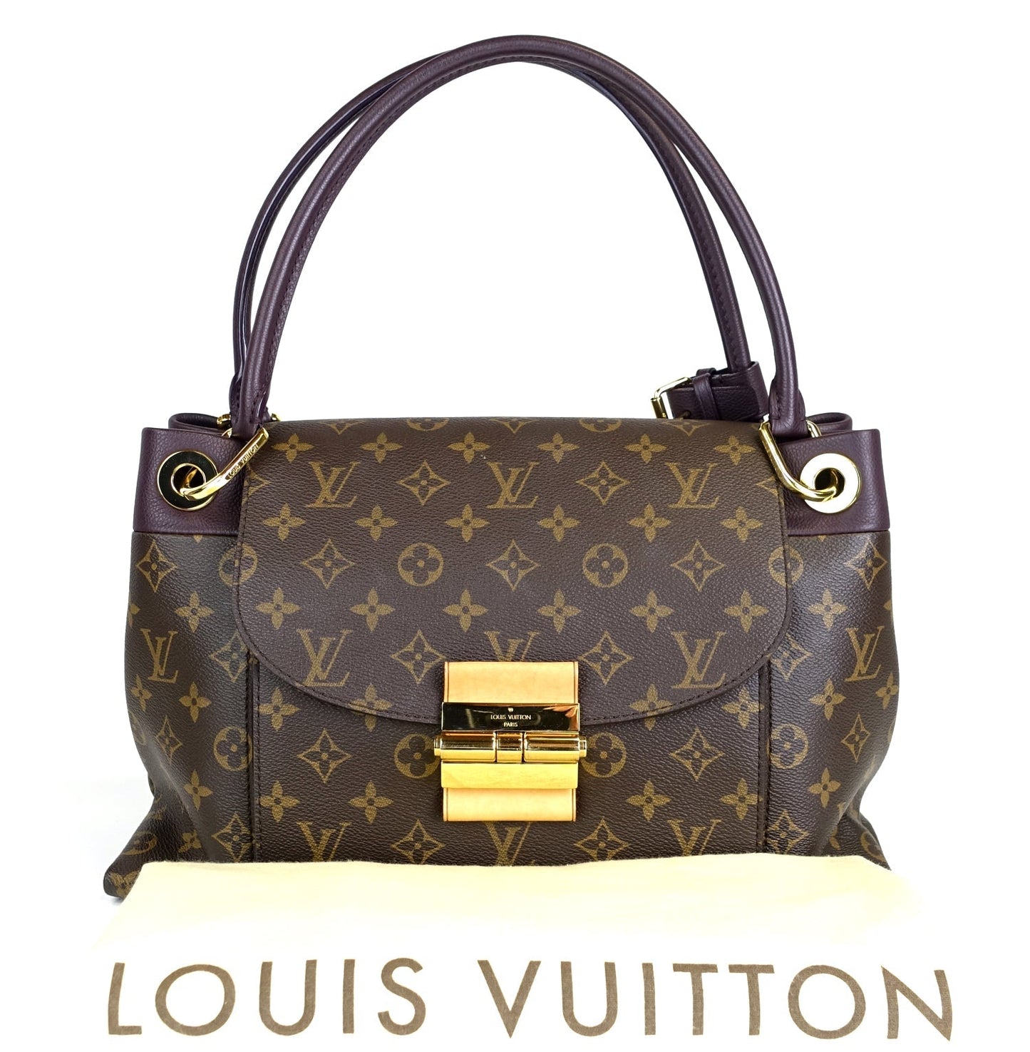 Louis Vuitto Olympe Monogram Canvas Bag