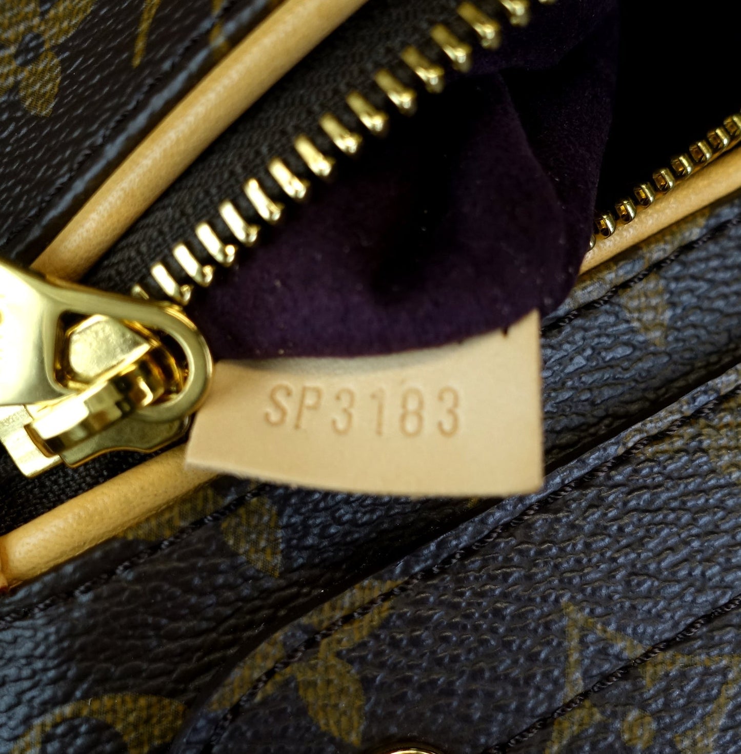 Louis Vuitto Olympe Monogram Canvas Bag