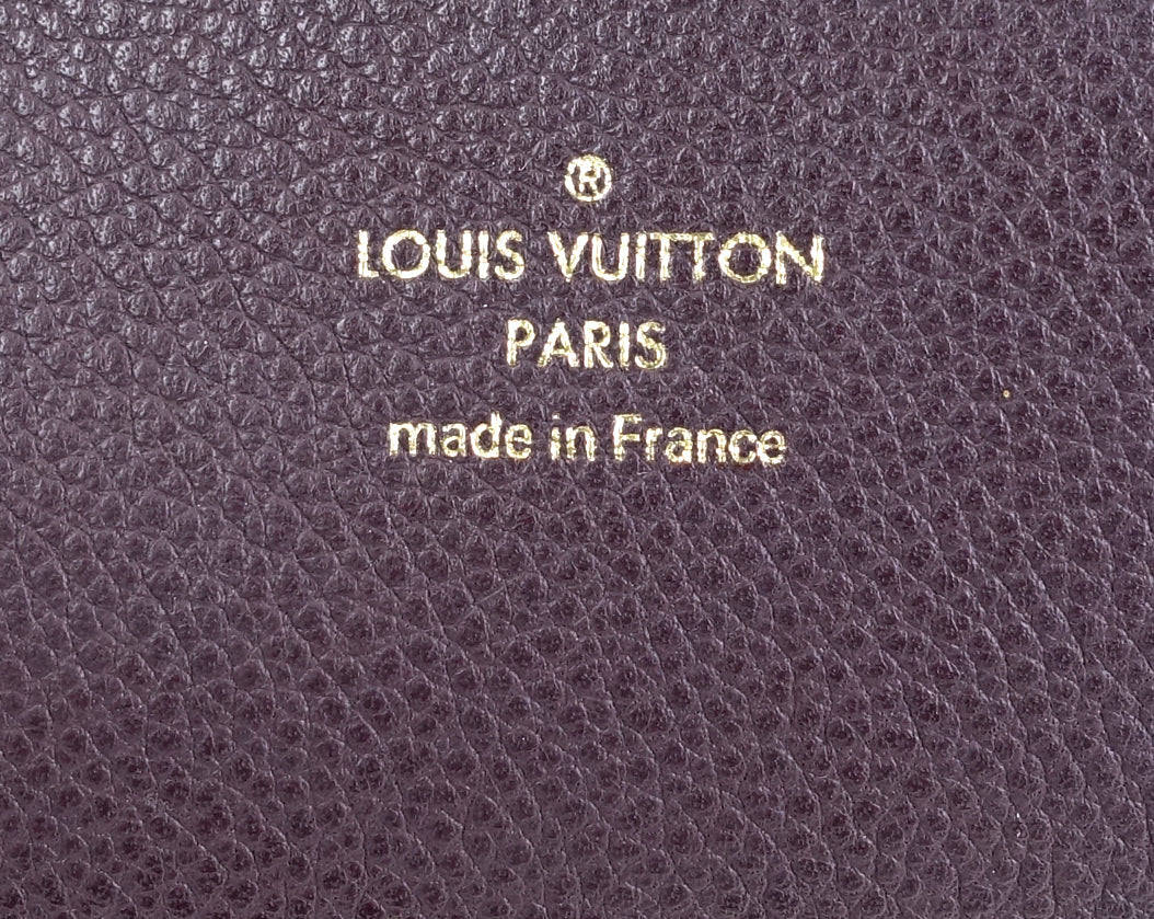 Louis Vuitto Olympe Monogram Canvas Bag