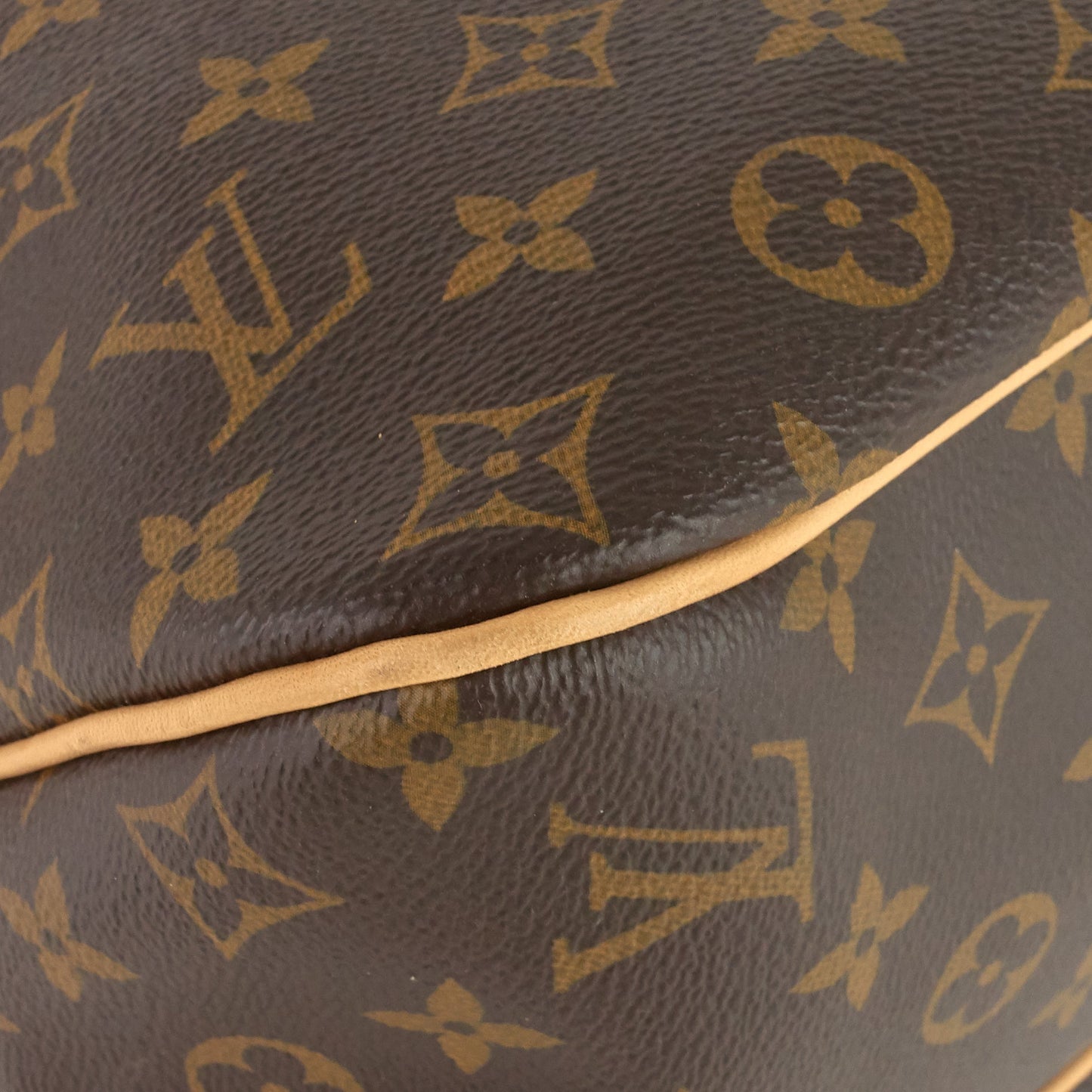 Louis Vuitto Delightful NM MM Monogram Canvas Bag