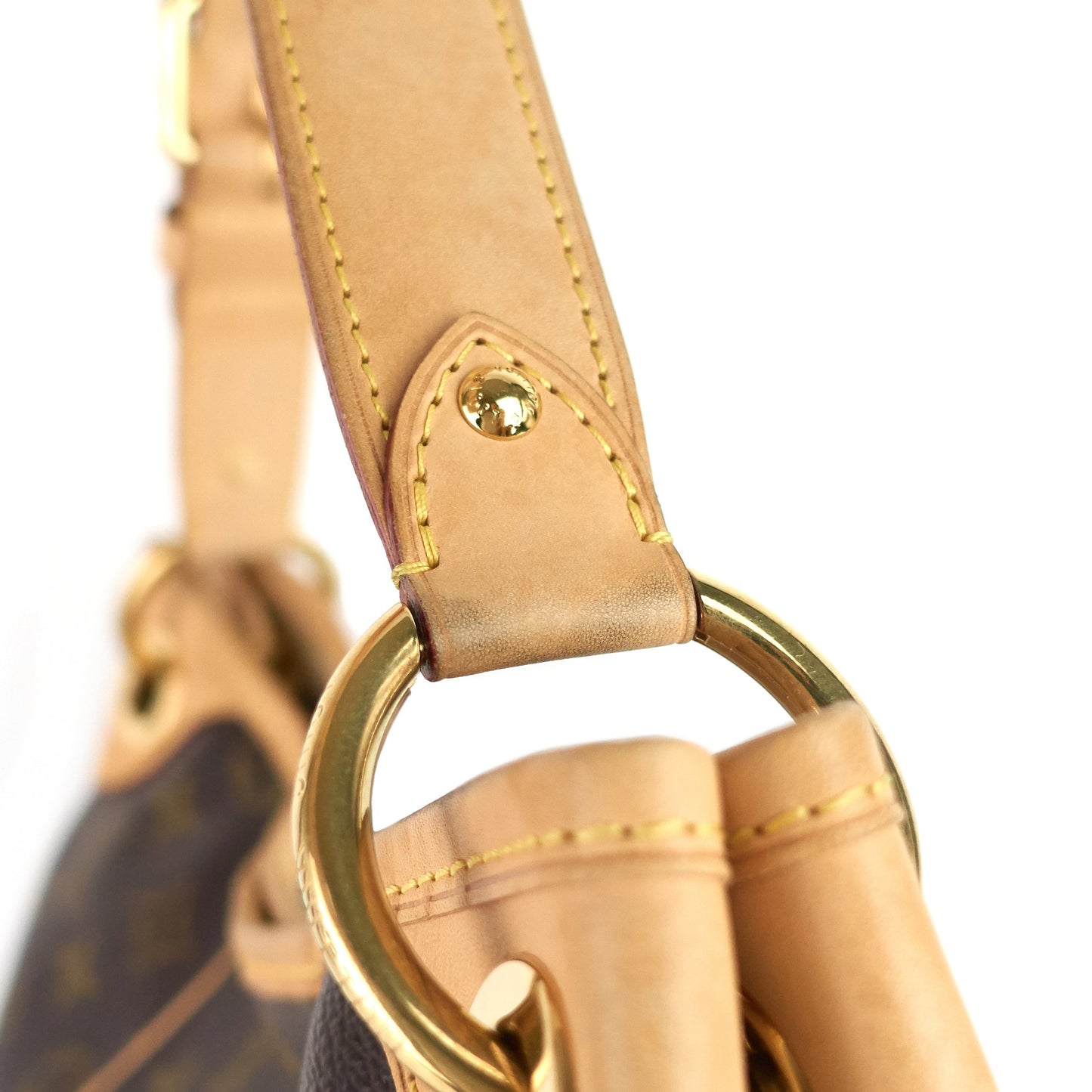 Louis Vuitto Galliera PM Monogram Canvas Bag