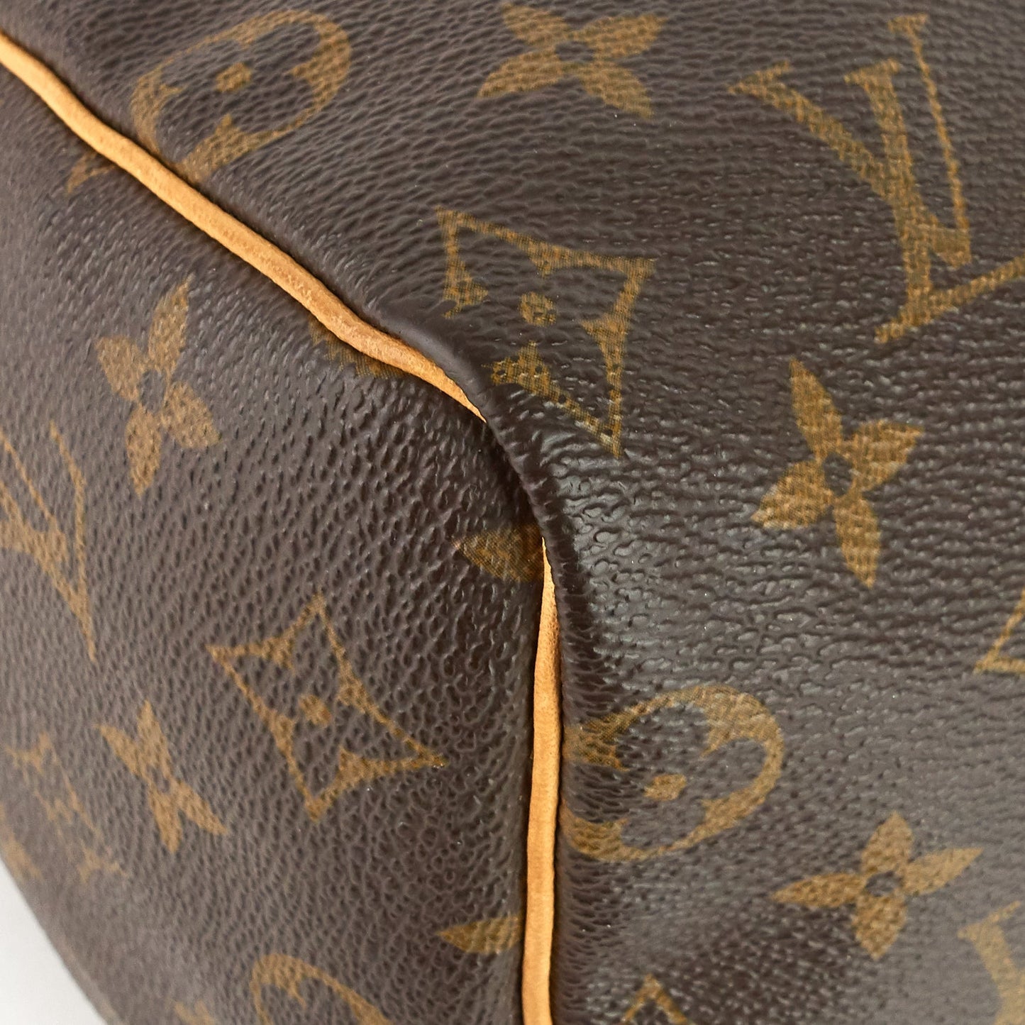Louis Vuitto Speedy 25 Monogram Canvas Bag