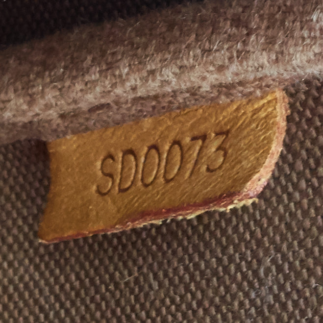 Louis Vuitto Pochette Accessoires Monogram Canvas Bag