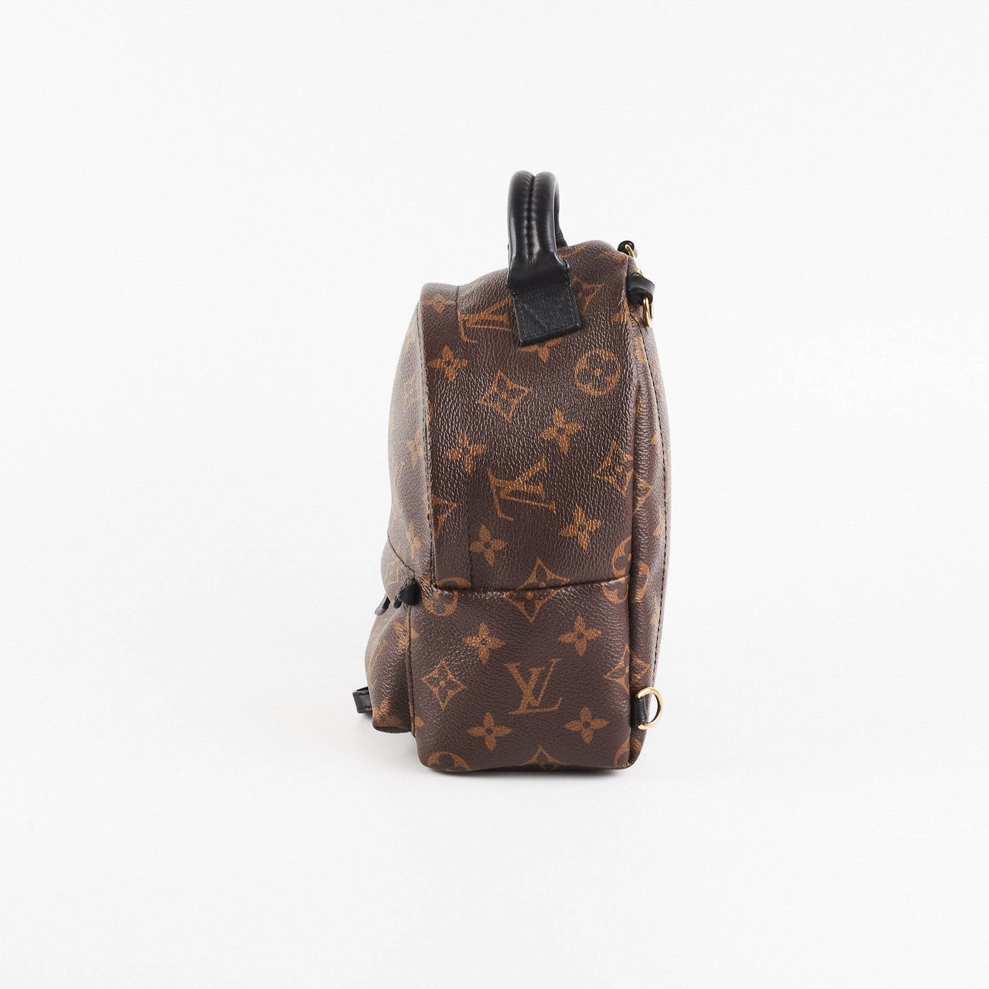 Louis Vuitton Palm Spring Mini Monogram