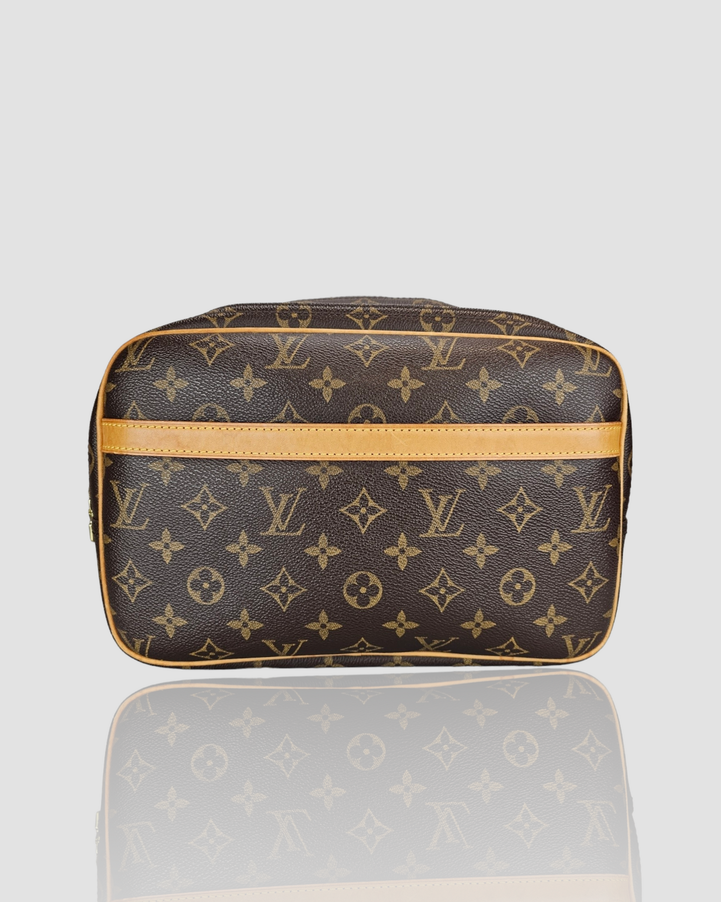 Louis Vuitton Reporter PM