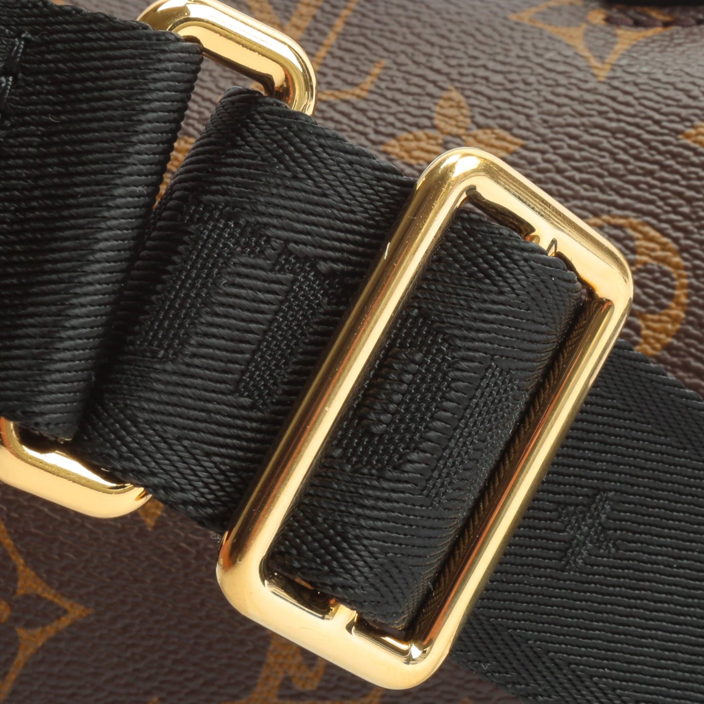 LOUIS VUITTON Monogram Petite Malle Souple