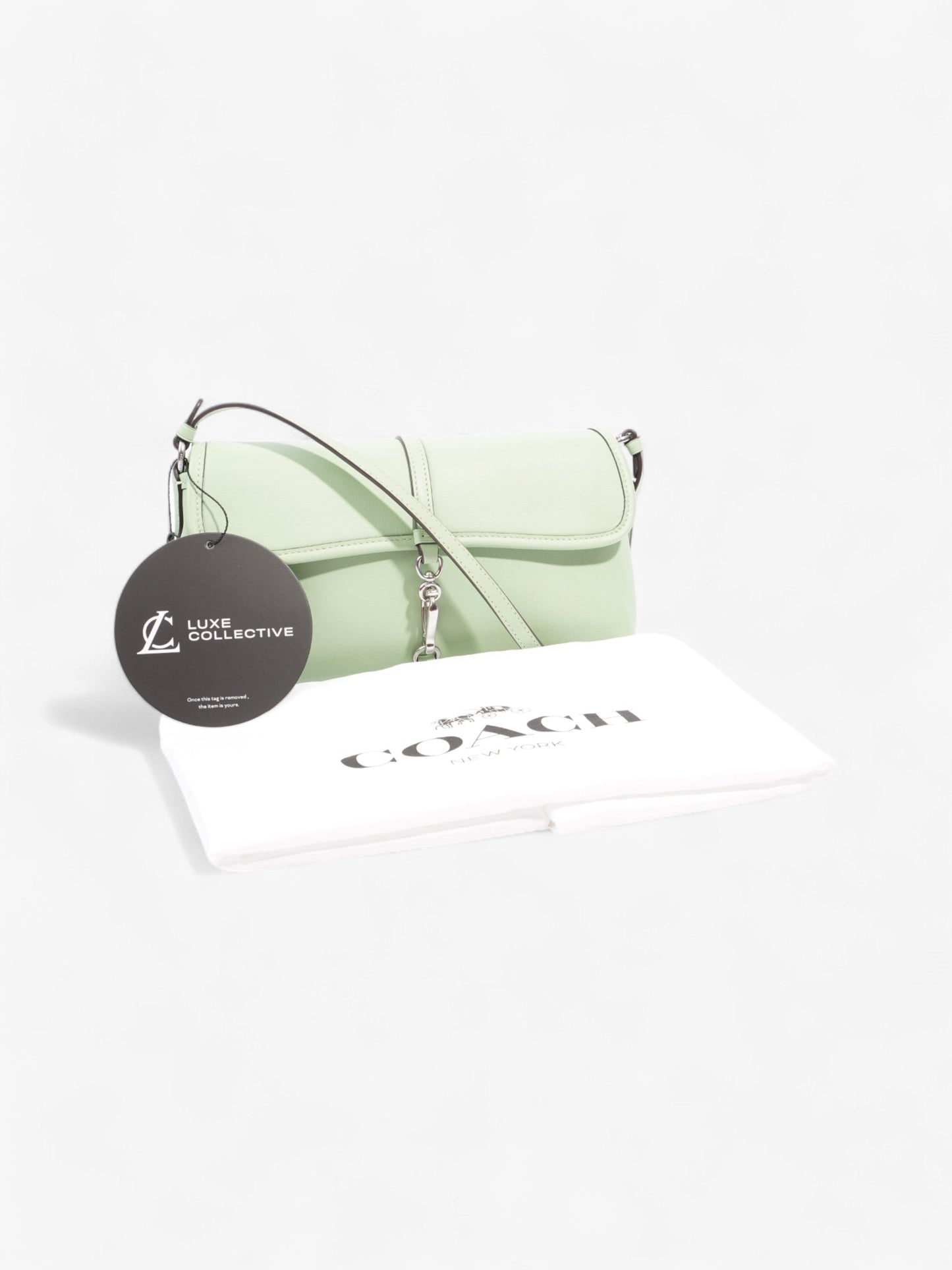 Coach Hamptons Bag Pale Pistachio Leather