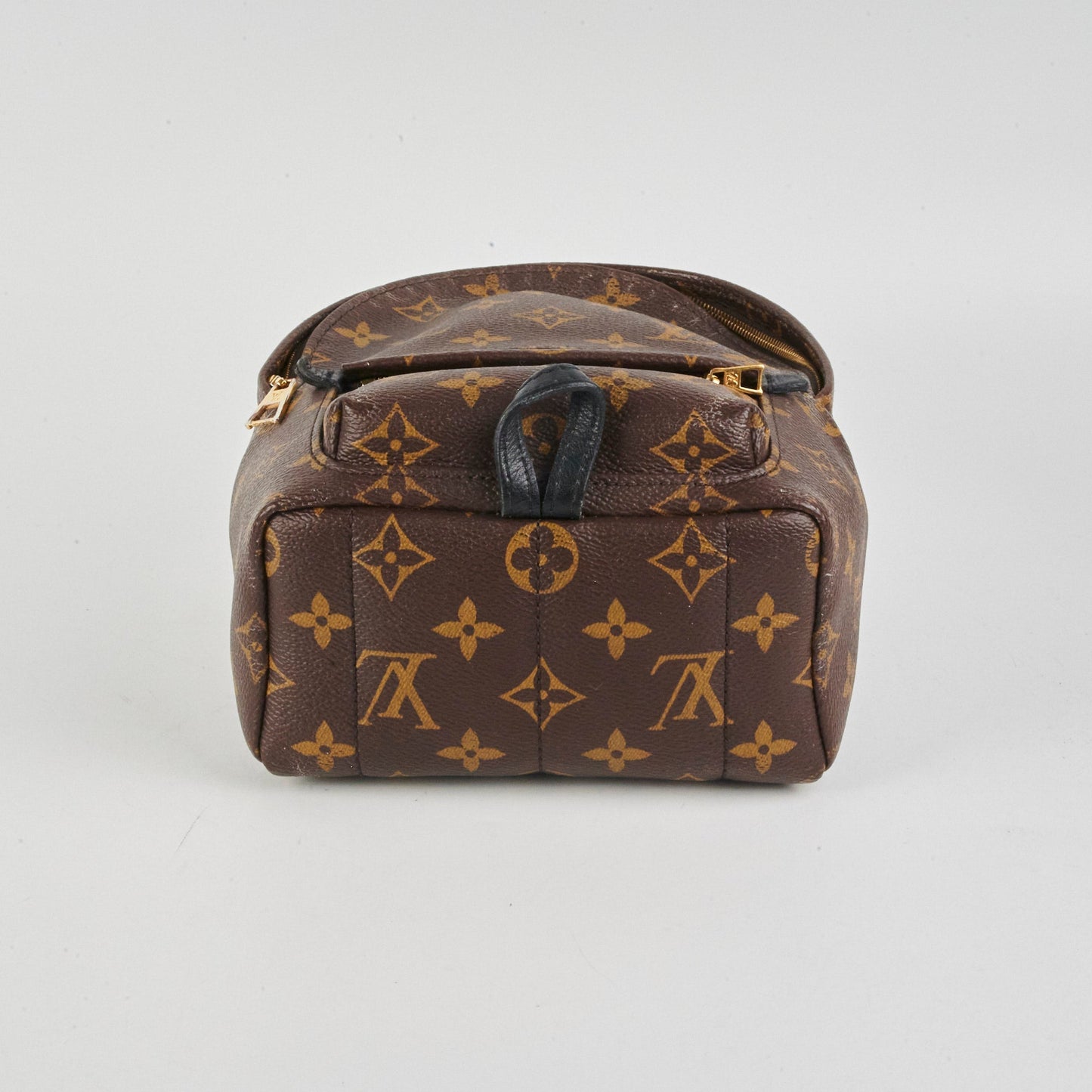Louis Vuitton Palm Springs Mini Monogram Backpack