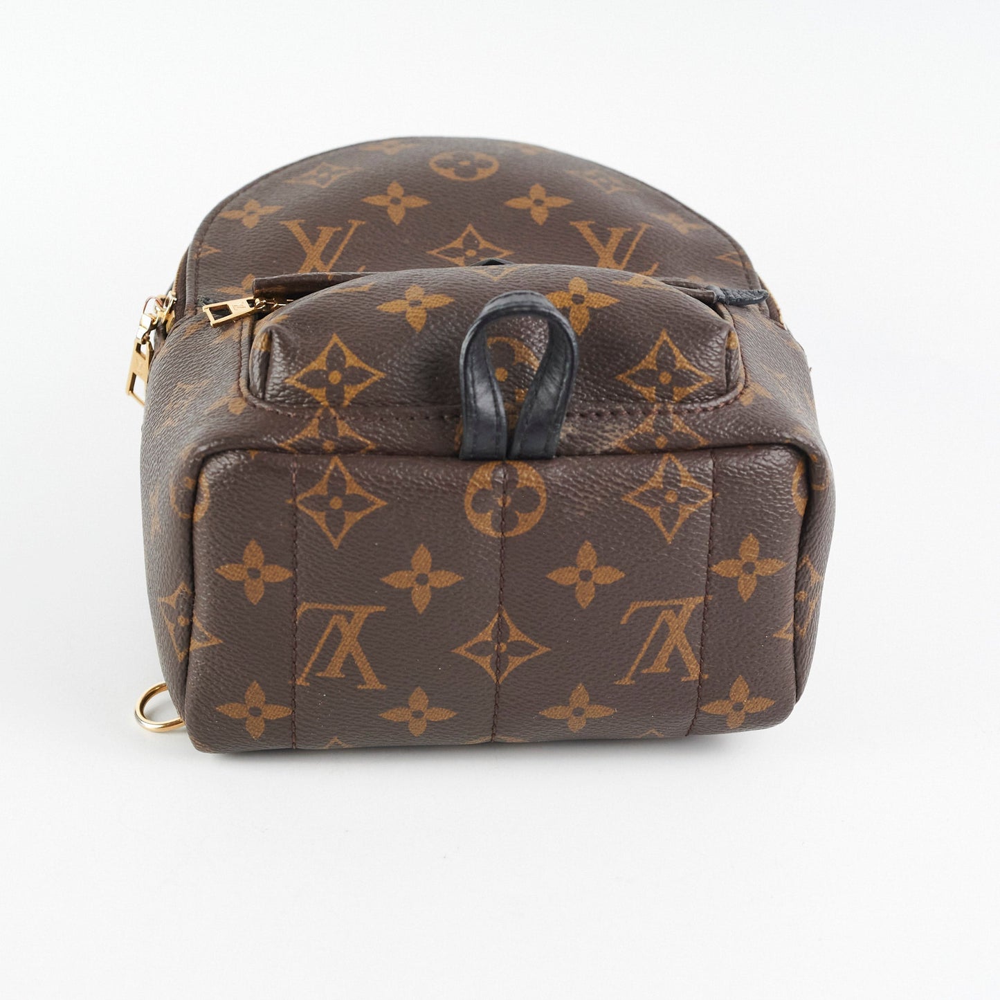 Louis Vuitton Palm Spring Mini Monogram