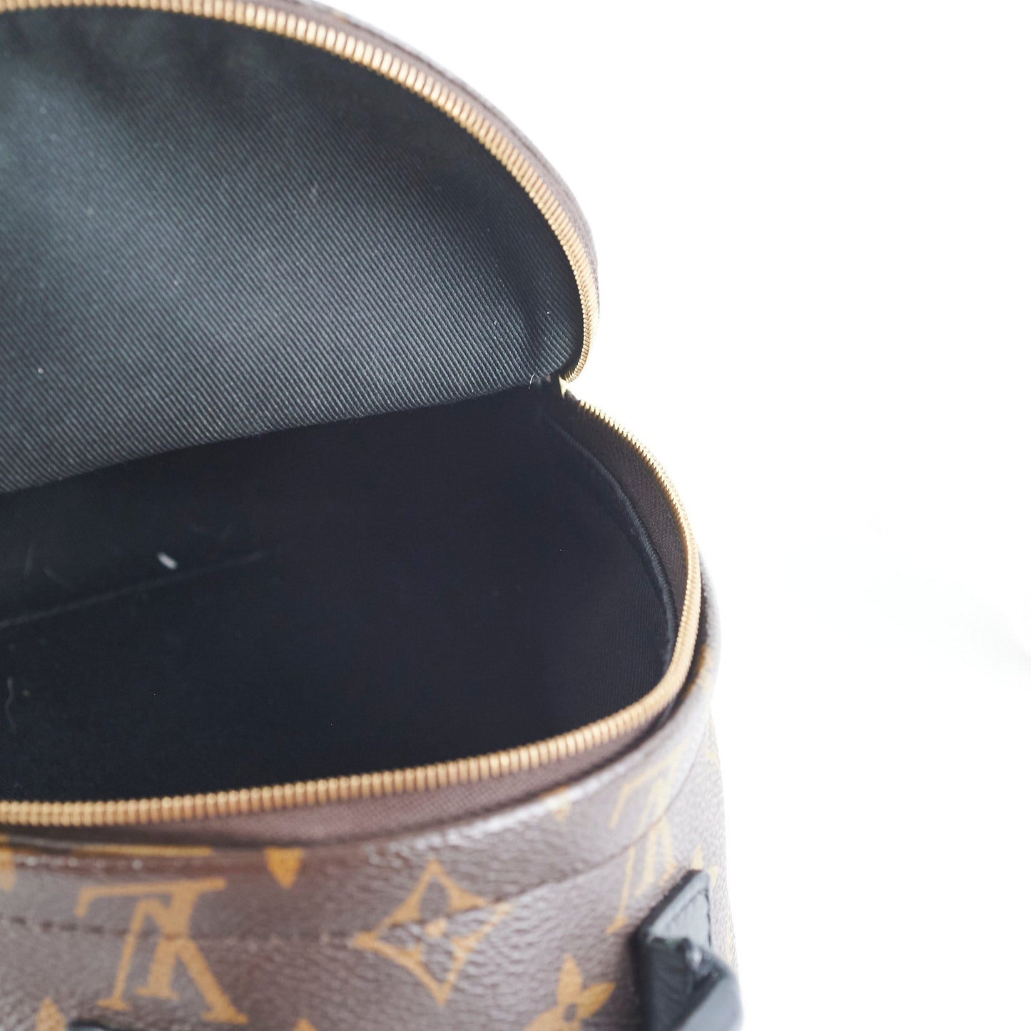 Louis Vuitton Palm Spring Mini Monogram