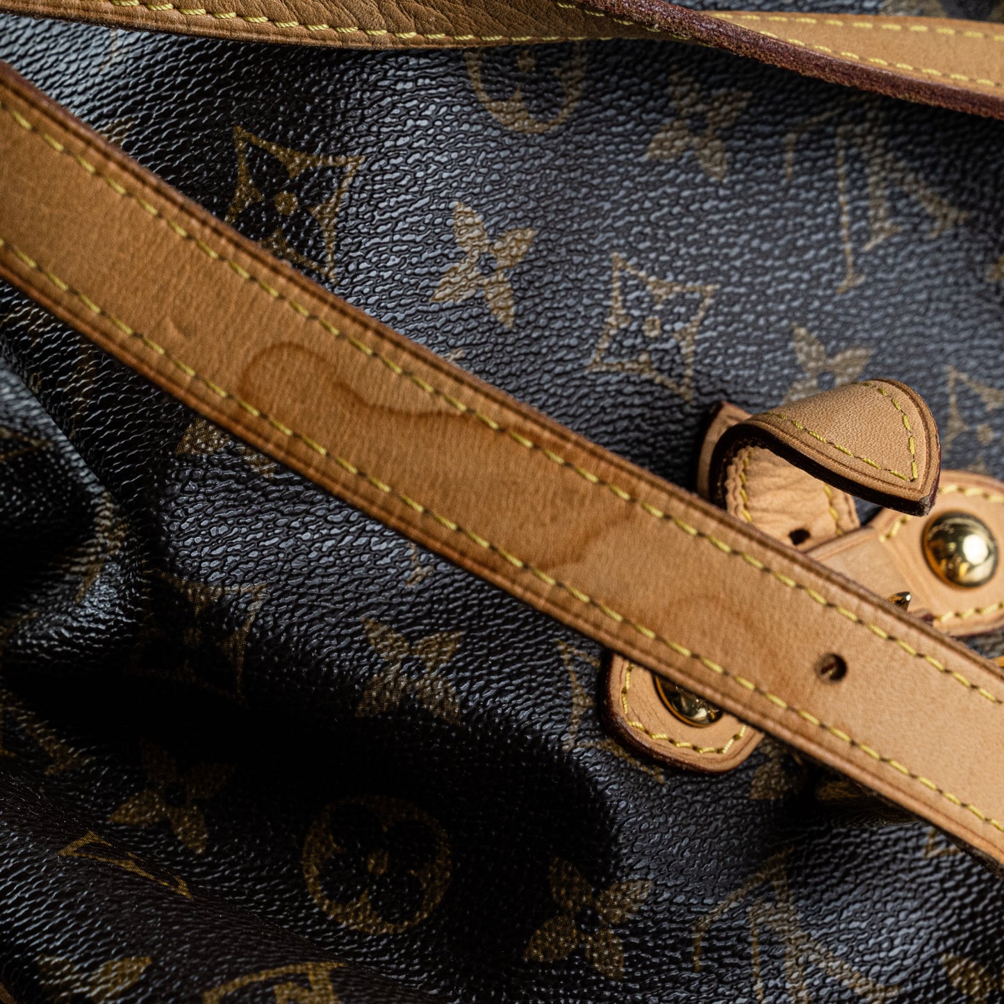 Louis Vuitton Palermo Monogram