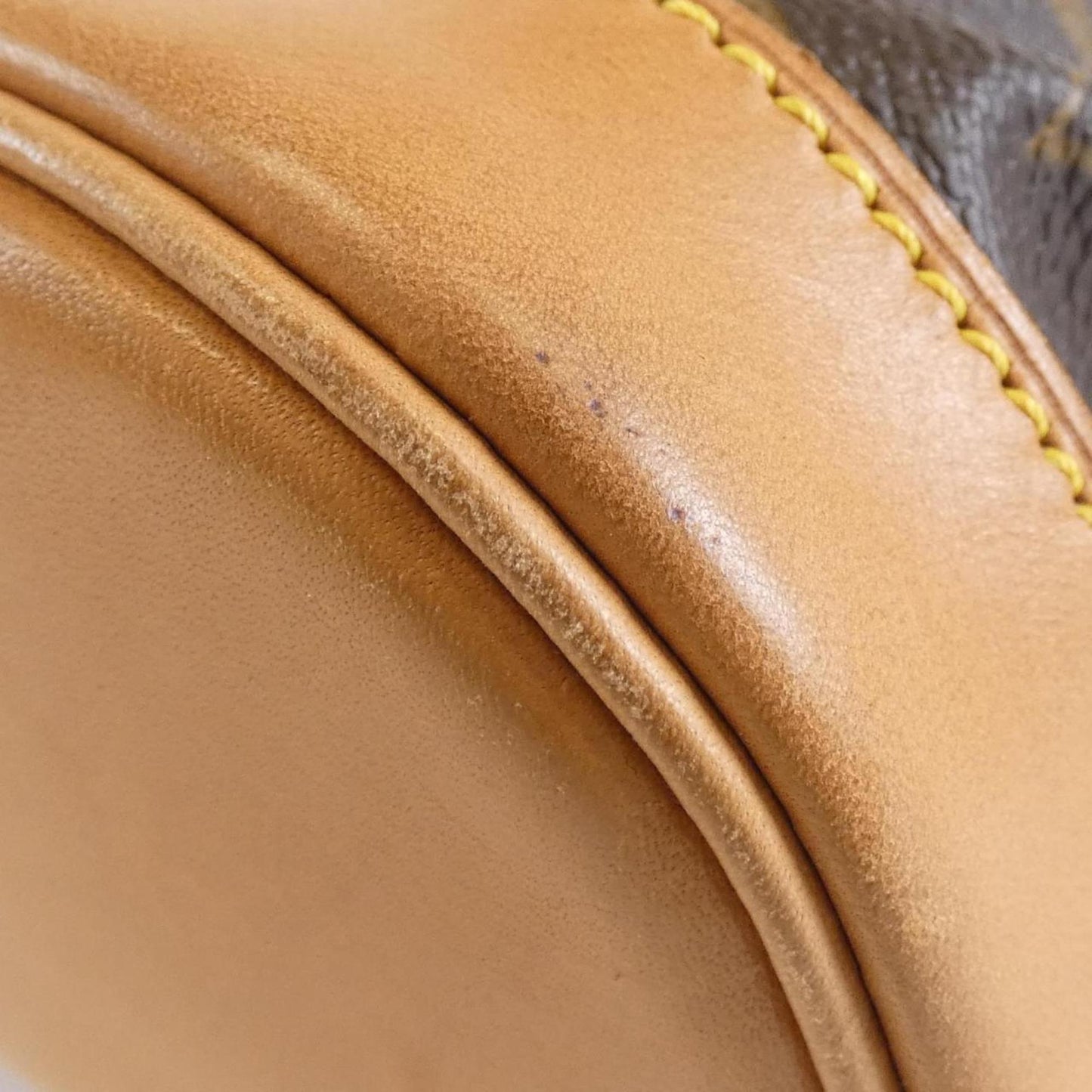 Luxury Canvas Backpack with Dust Bag