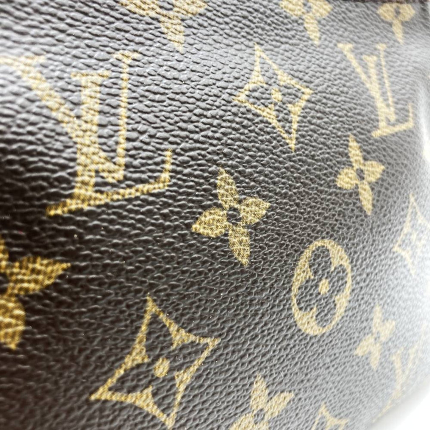 Canvas Luxury Designer Handbag in Good Condition