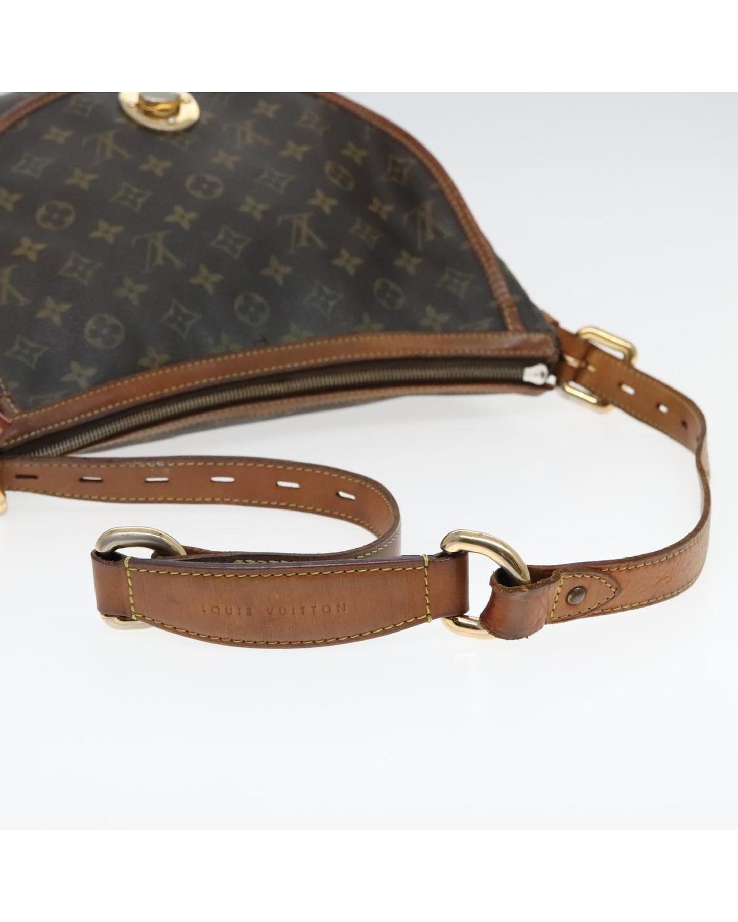 Monogram Tolum PM Shoulder Bag