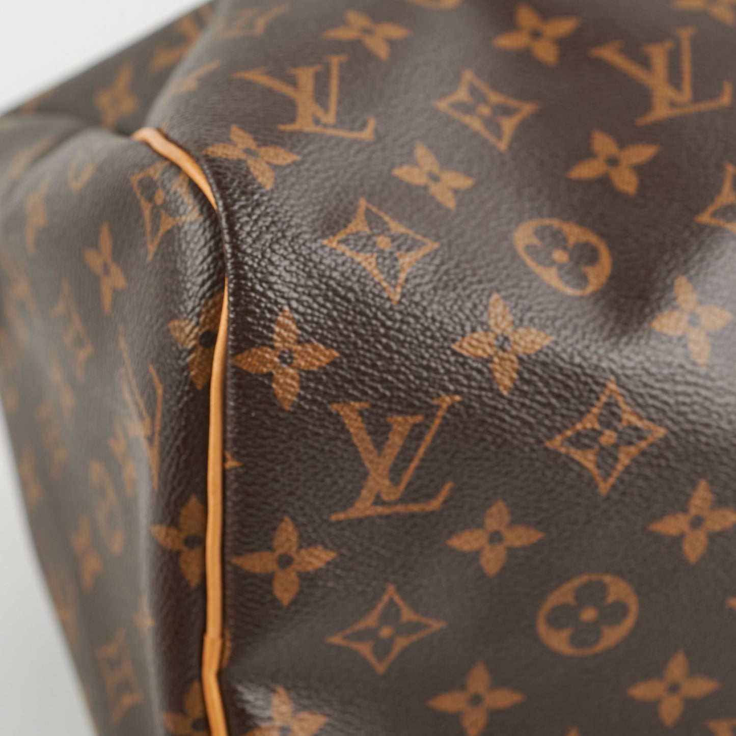 Louis Vuitton Speedy 30 Monogram