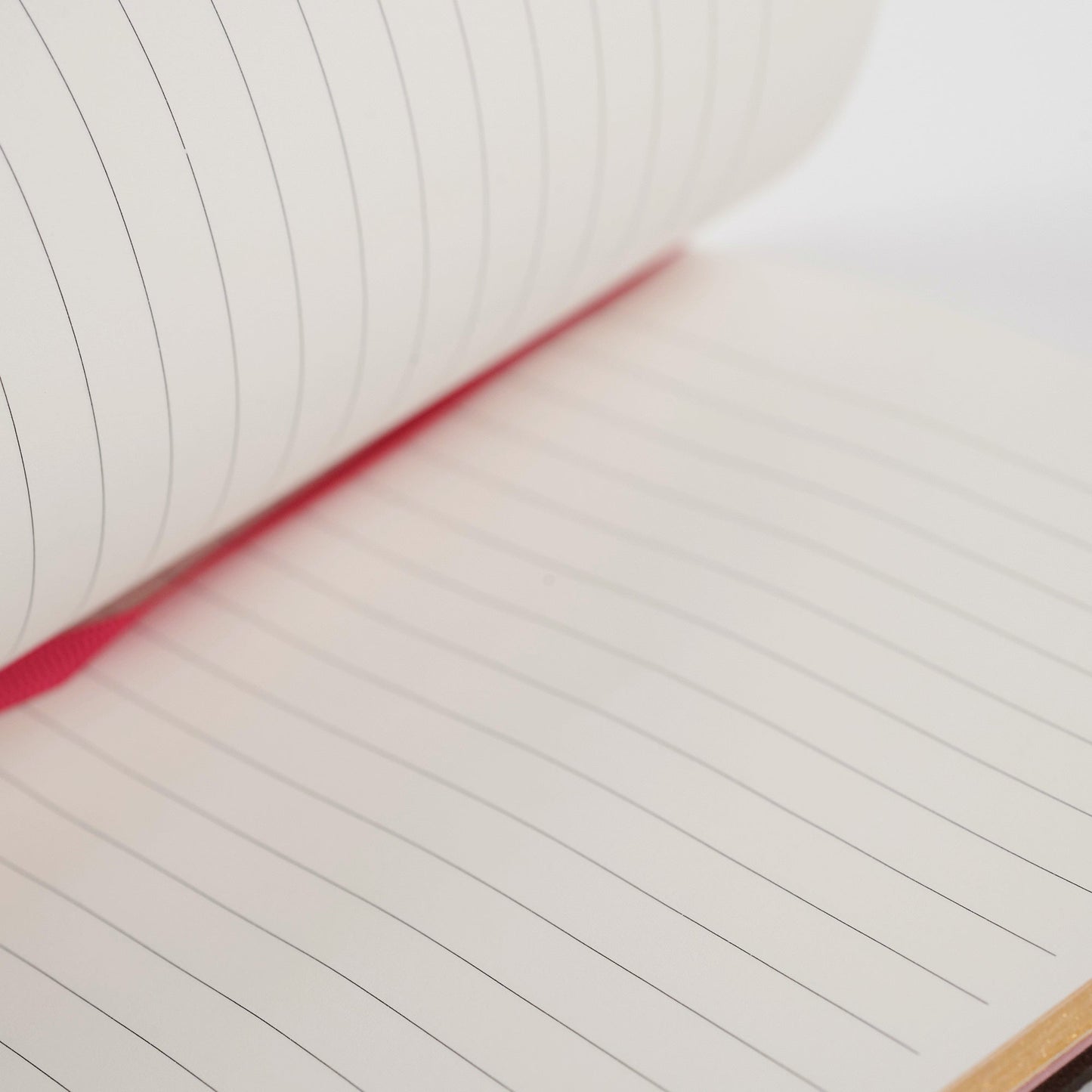 Louis Vuitton Vivienne Christmas Animation 2020 Notebook