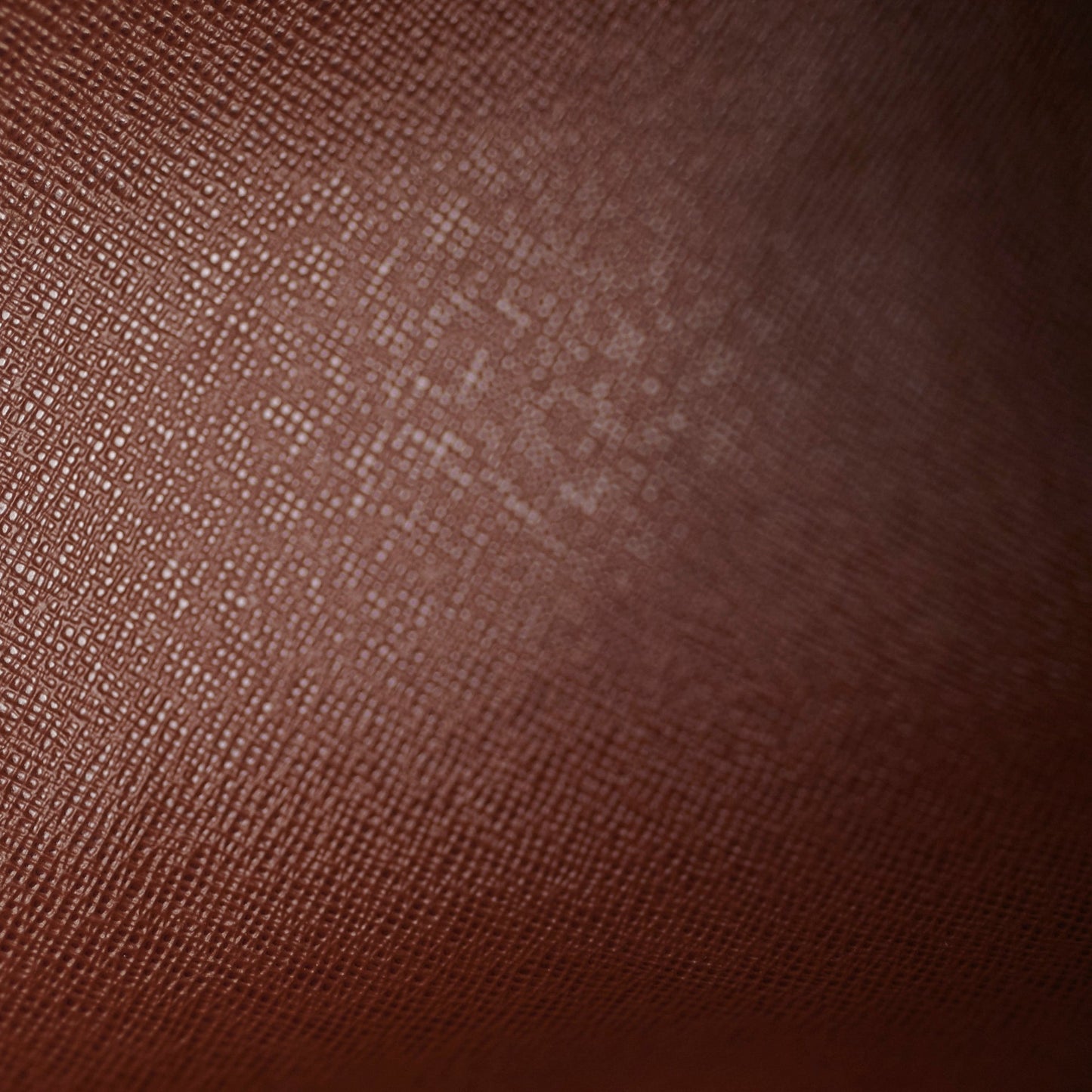 Louis Vuitton Monogram Papillon