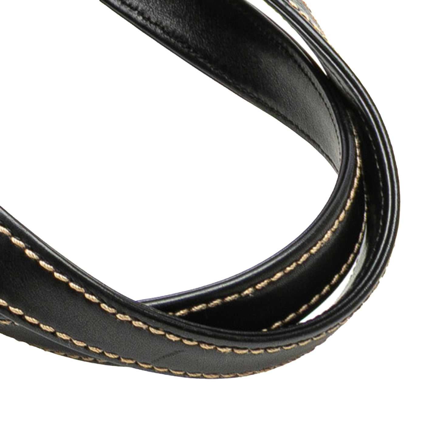 Chanel Cc Lambskin Wild Stitch Handbag