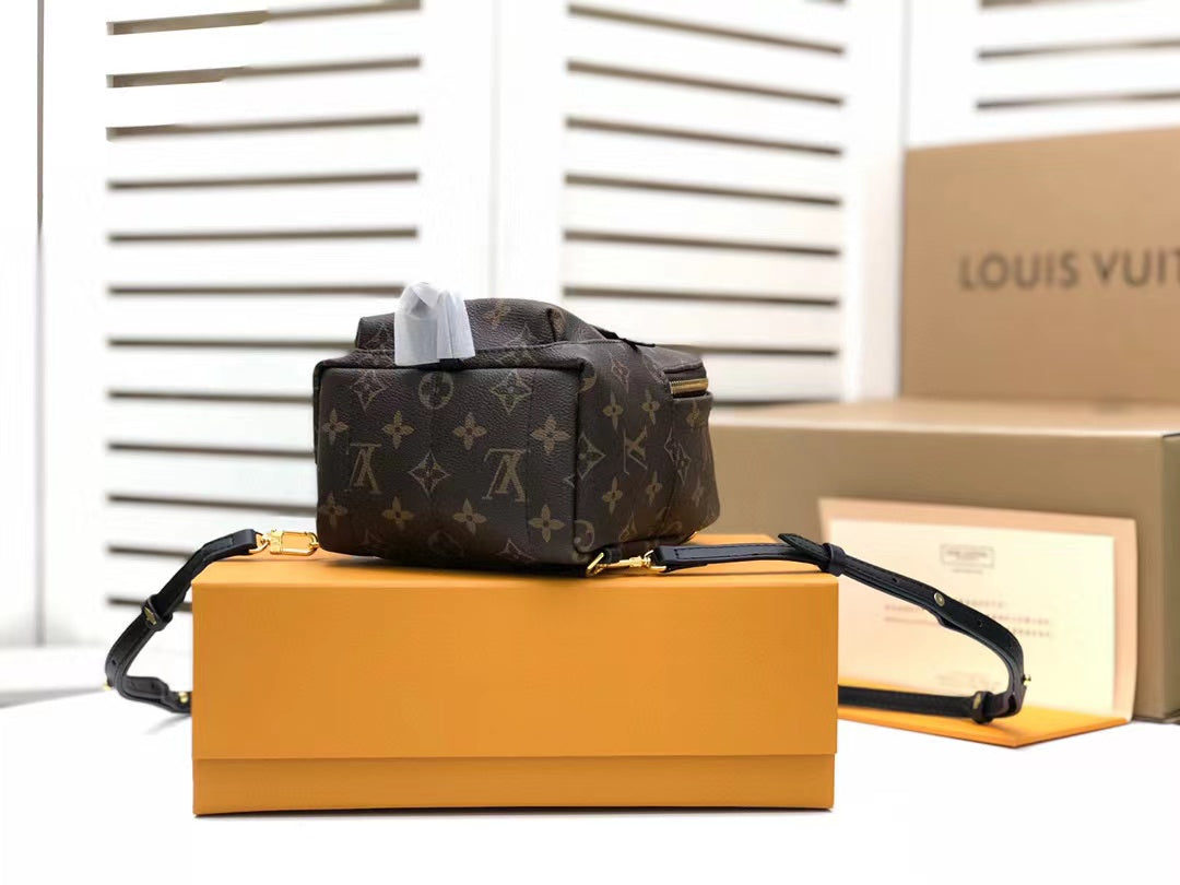 LV Palm Springs Mini Monogram Canvas For Women, WomenÃ¢â‚¬â„¢s Handbags, WoBackpack 6.7in/17cm LV M44873
