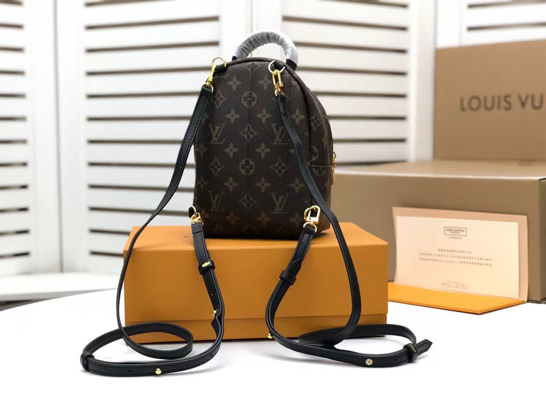 LV Palm Springs Mini Monogram Canvas For Women, WomenÃ¢â‚¬â„¢s Handbags, WoBackpack 6.7in/17cm LV M44873
