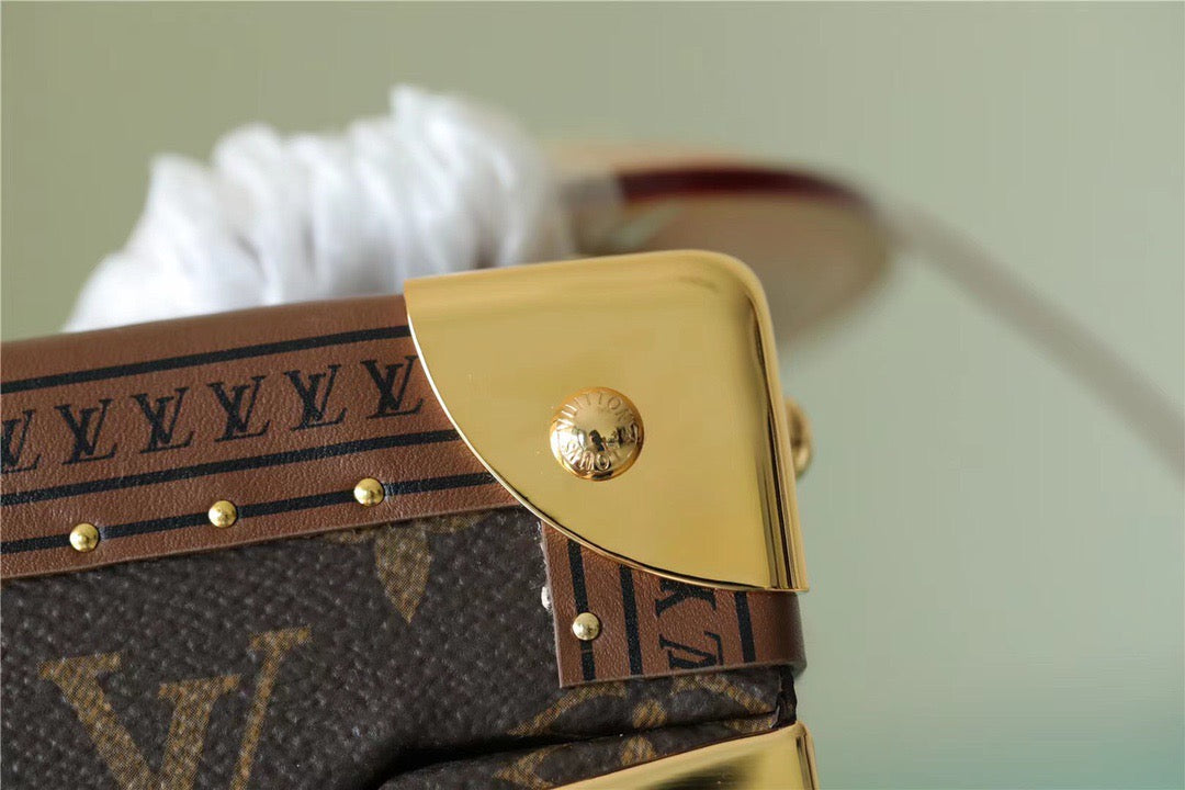LV Camera Box Monogram Canvas By Nicolas Ghesquiere For Women,  Shoulder And Crossbody Bags 21.5cm/8.5in LVÃ‚Â 