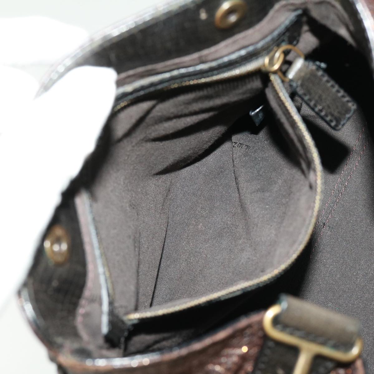 FENDI Hand Bag Leather Brown ac1144