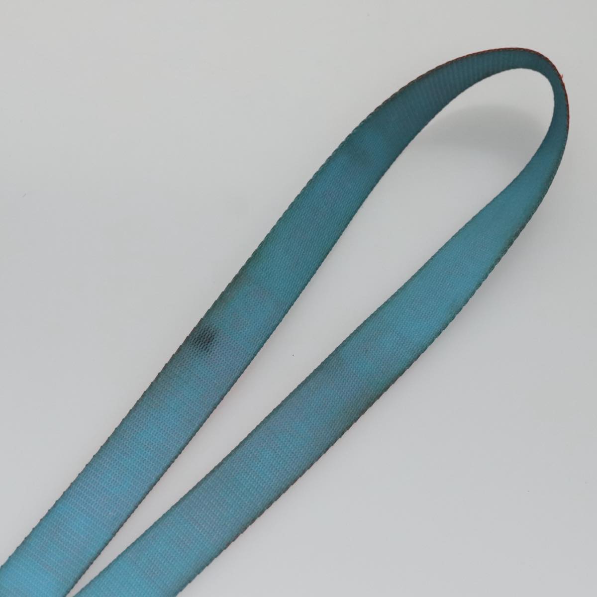 CHANEL Neck Strap Canvas Red Blue CC am7445