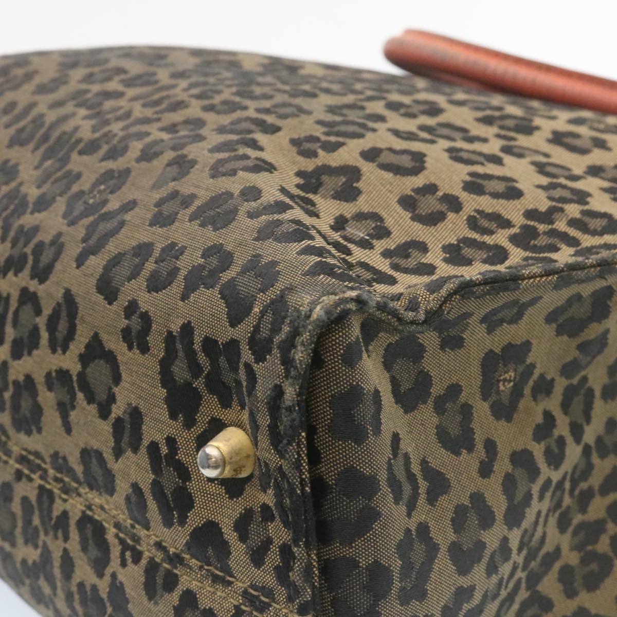 FENDI Panther Hand Bag Canvas Brown Black ar5672