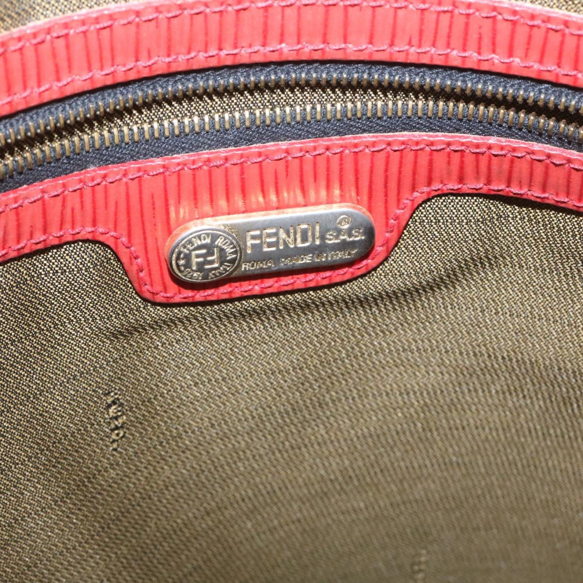 FENDI Panther Hand Bag Canvas Brown Black ar5672
