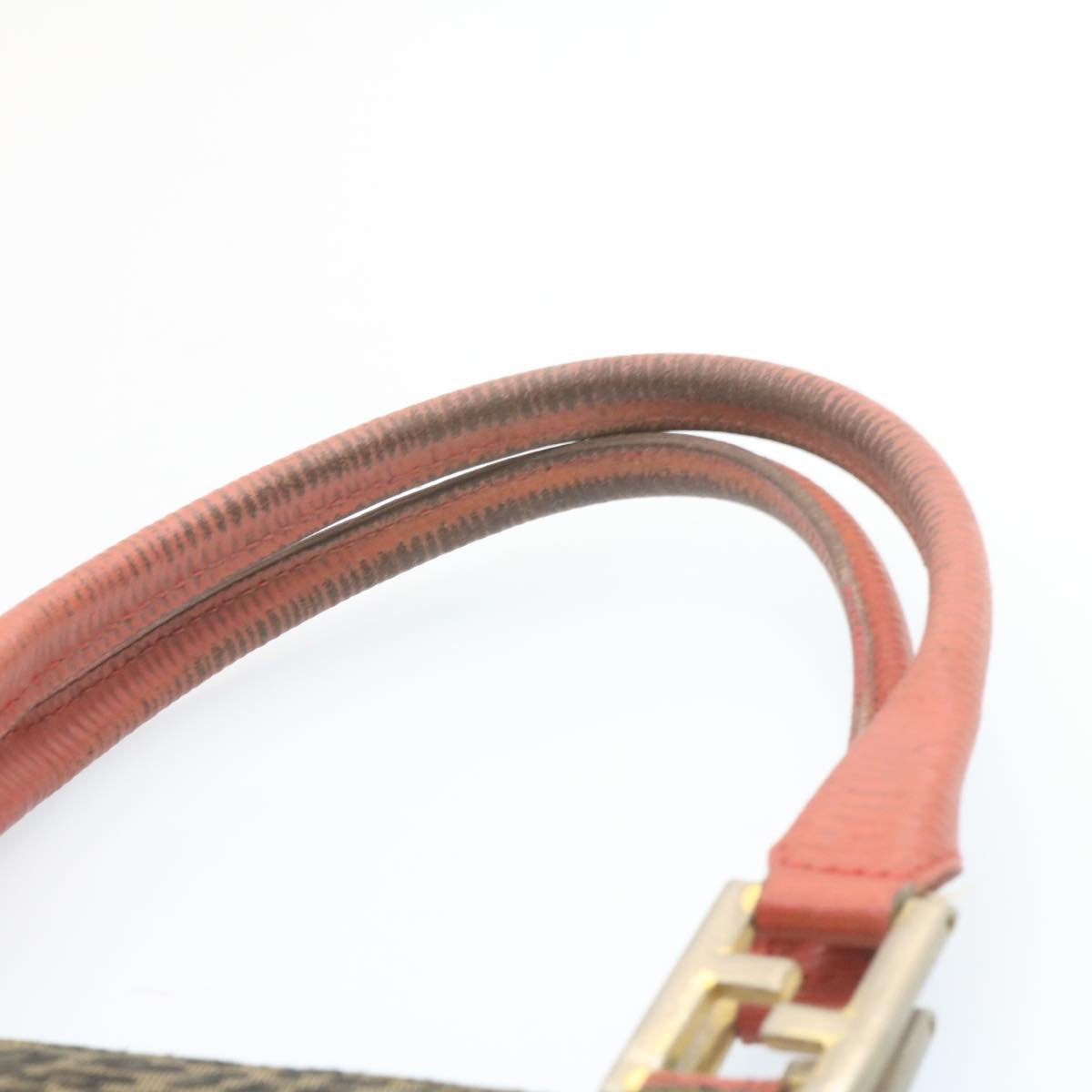 FENDI Panther Hand Bag Canvas Brown Black ar5672