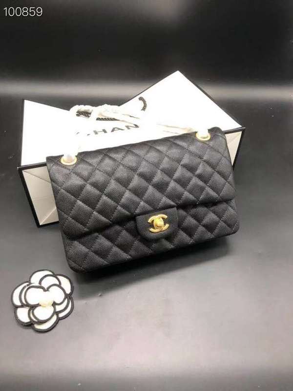 Satchel Bags - CHL Bags - 769
