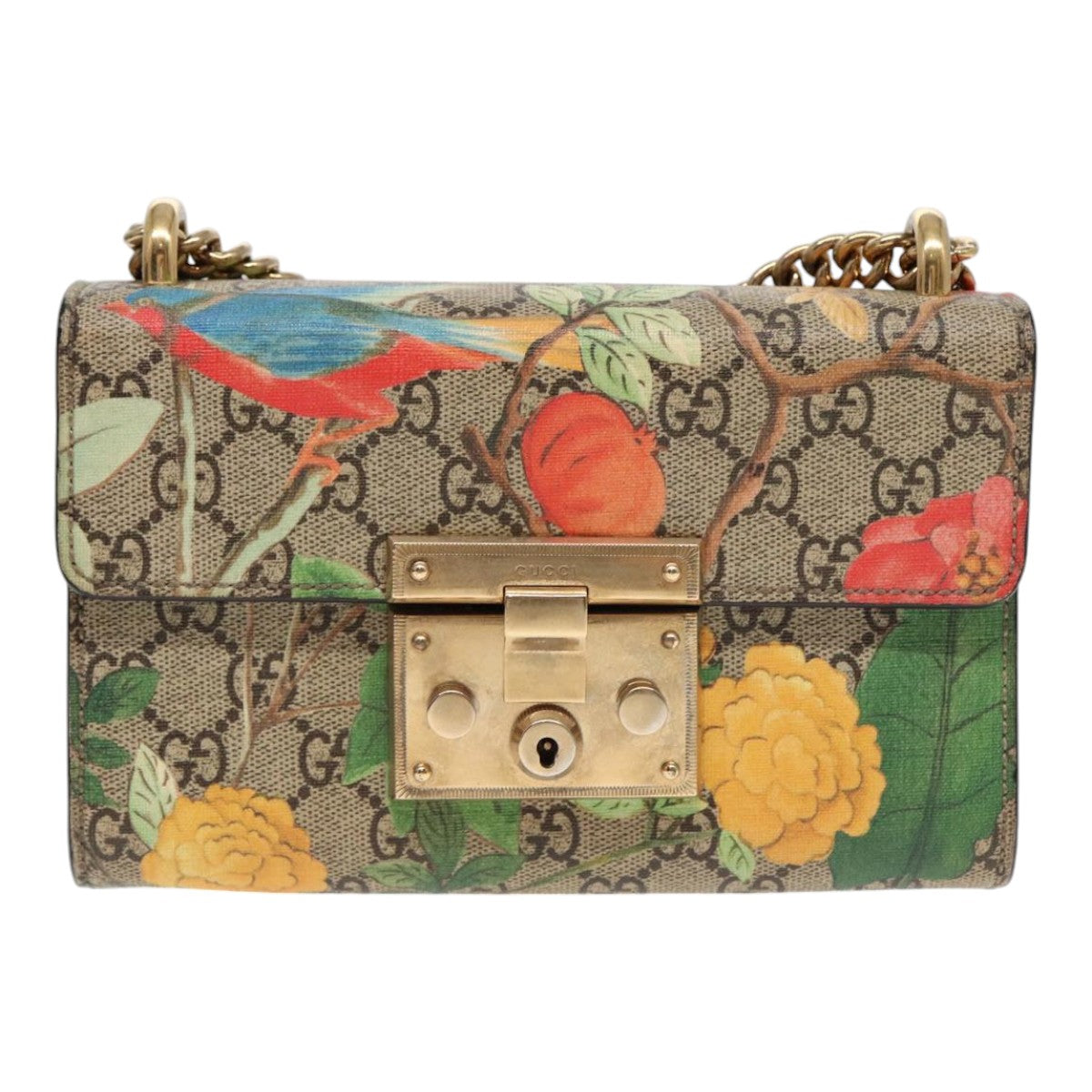 Gucci Gg Canvas  Canvas Shoulder Bag ()