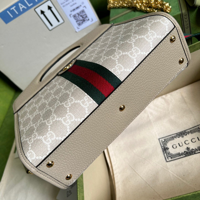 Gucci Luxury Fashion Bag