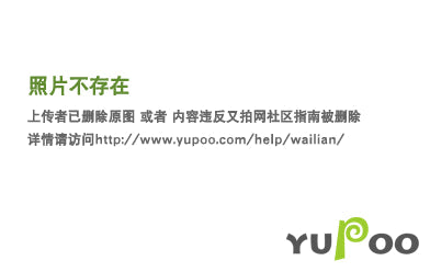 Satchel Bags - HMS-Bags - 863