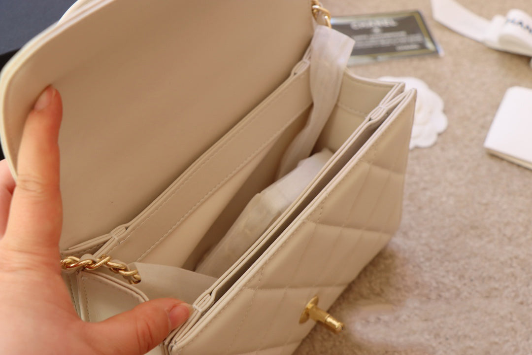 EN - New Arrival Bags CHL 313