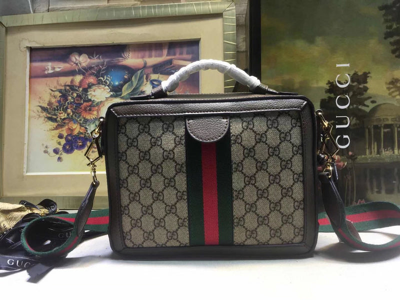 Gucci Luxury Fashion Bag