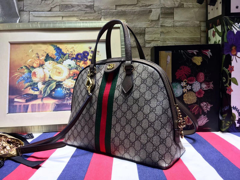 Gucci Luxury Fashion Bag
