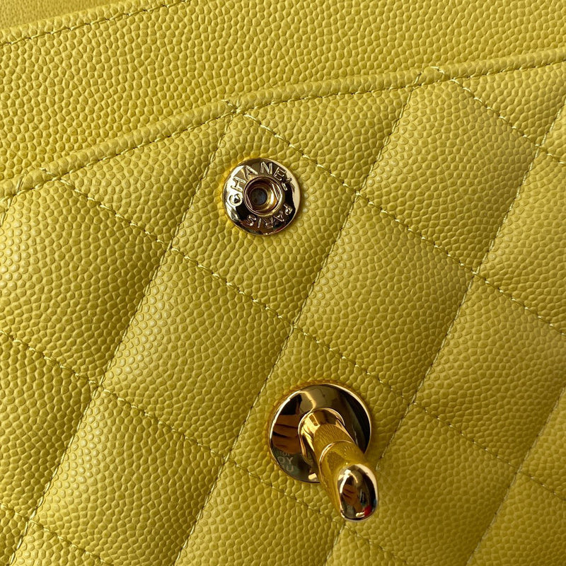 Satchel Bags - CHL Bags - 6667