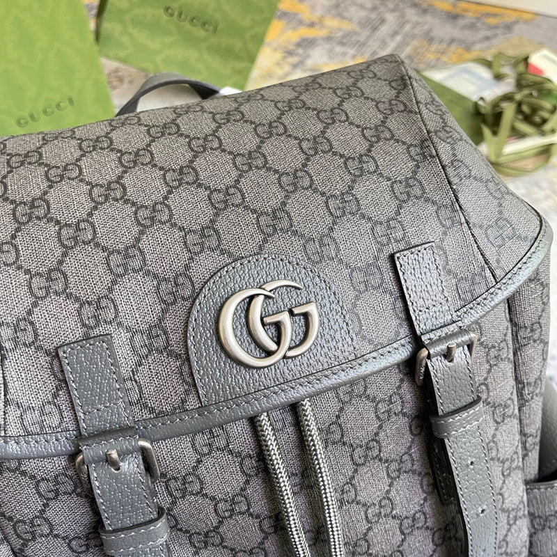 Gucci Luxury Fashion Bag