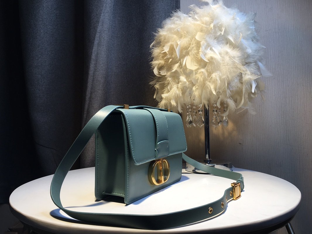 EN - New Arrival Bags DIR 239