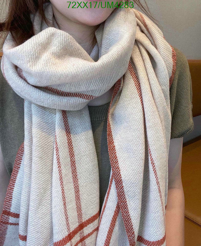 SAMC - CHL Scarves - 347