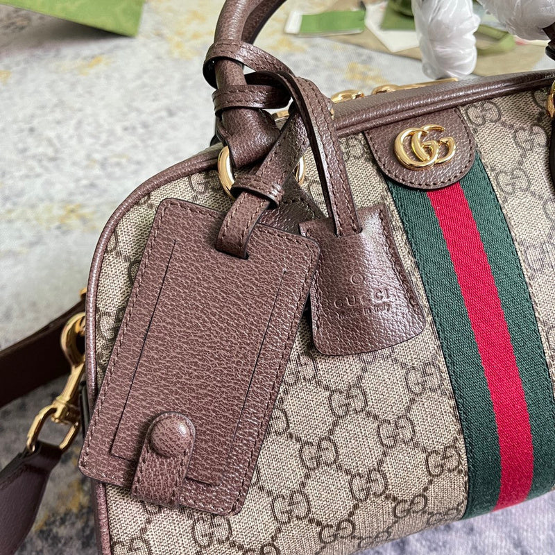 Gucci Luxury Fashion Bag